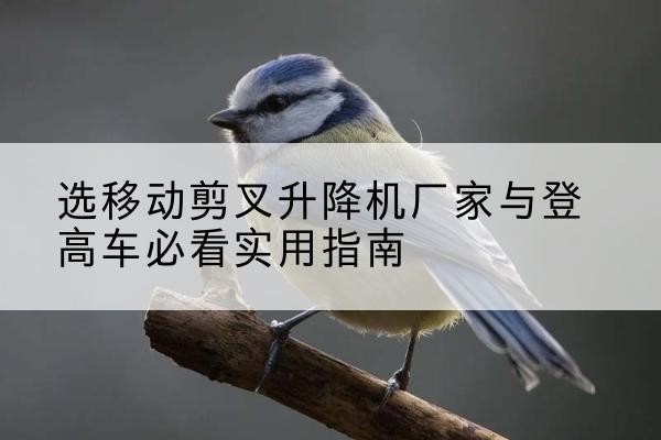 桐乡电动升降机厂家-选移动剪叉升降机厂家与登高车必看实用指南