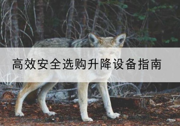 桐乡升降货梯厂家推荐-*安全选购升降设备指南