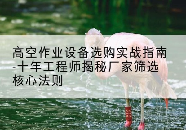 桐乡剪叉式升降机厂家-高空作业设备选购实战指南-十年工程师揭秘厂家筛选核心法则
