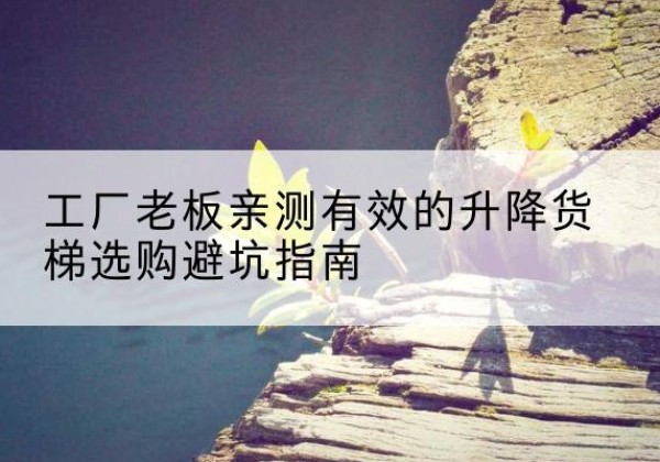 桐乡升降货梯怎么选-工厂老板亲测有效的升降货梯选购避坑指南